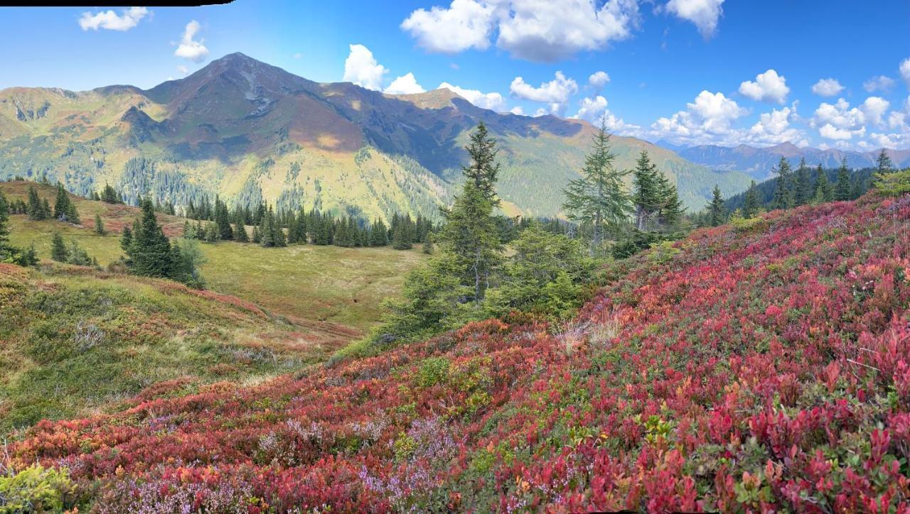 Alpengasthof Grobbauer روتنمان المظهر الخارجي الصورة