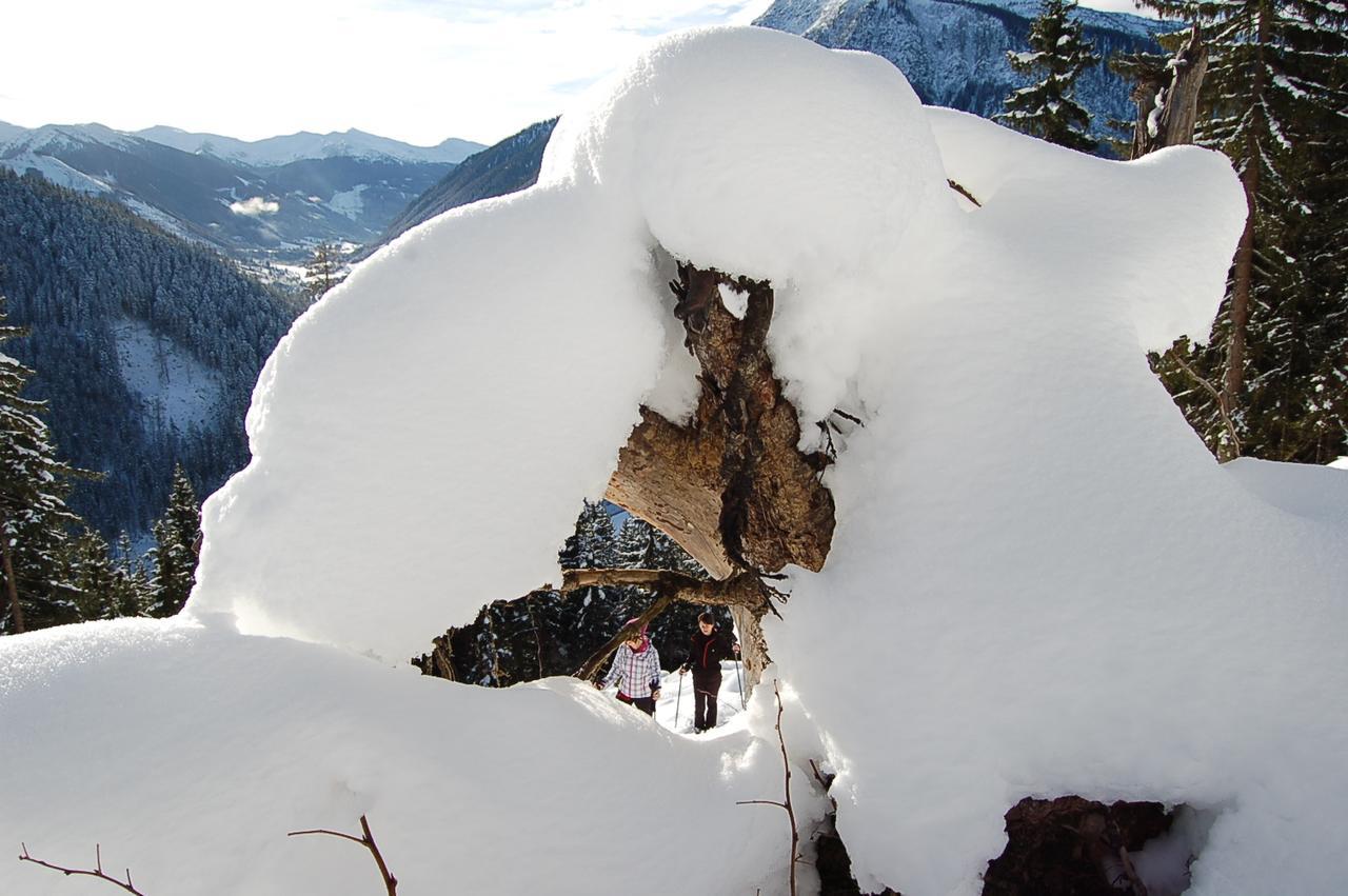 Alpengasthof Grobbauer روتنمان المظهر الخارجي الصورة