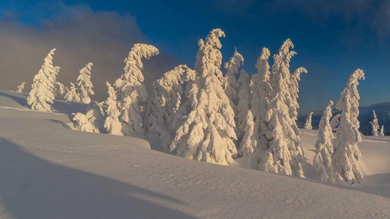 Alpengasthof Grobbauer روتنمان المظهر الخارجي الصورة